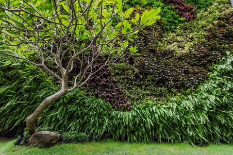 綠化植生牆